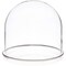 Plymor 5.5" x 5.5" Glass Display Dome Cloche (Silver Rim Glass Tray Base)